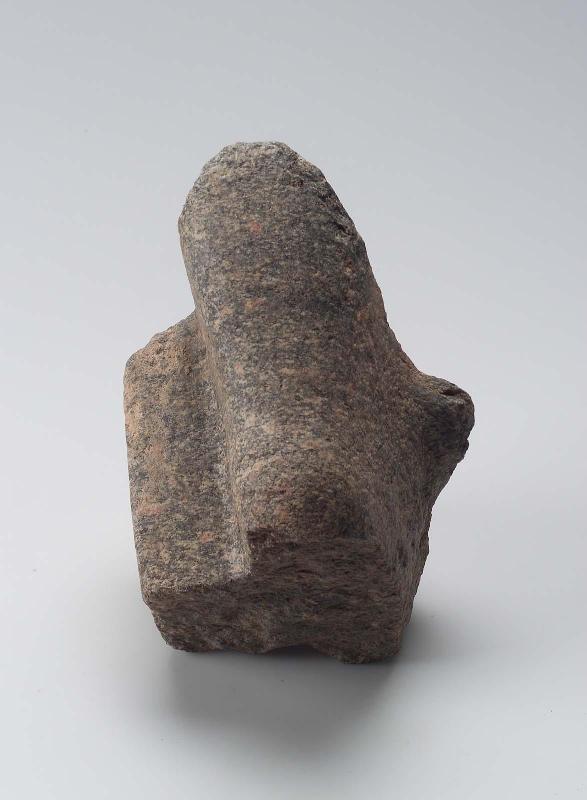 Fragment of arm or leg