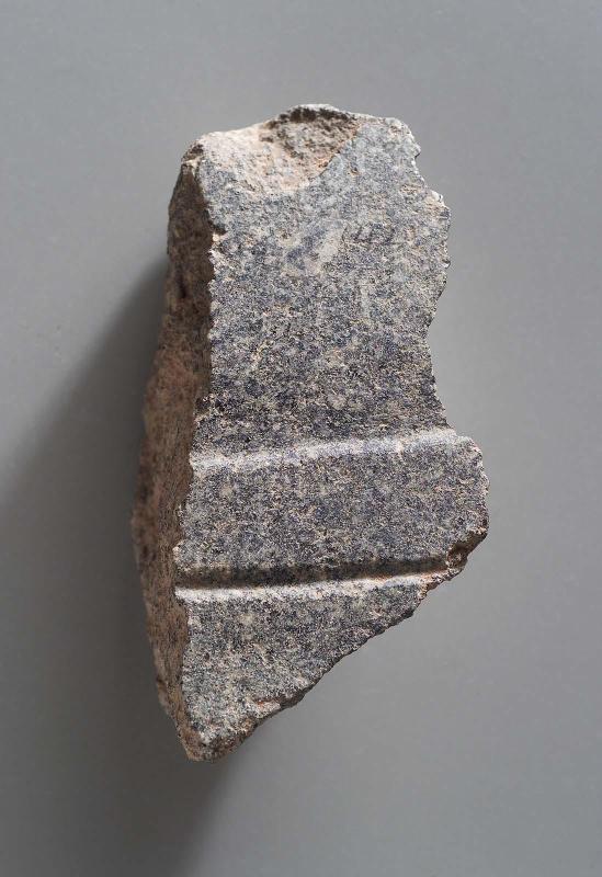 Fragment of hood of cobra
