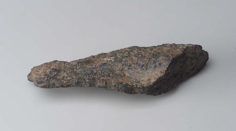 Falcon body fragment?