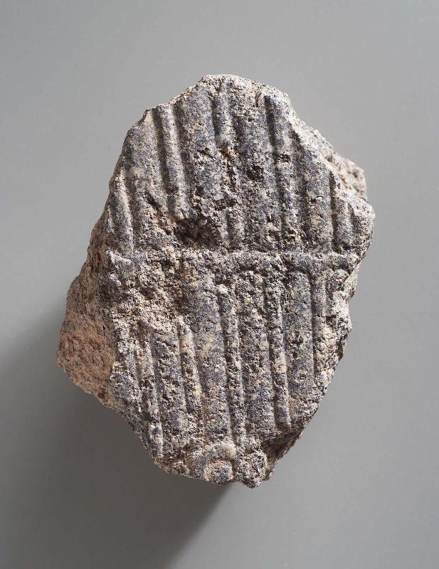 Fragment of double cobra hood