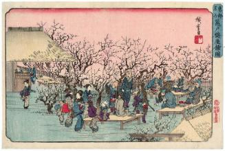 Plum Garden at Kameido (Kameido ume yashiki no zu), from the series Famous Places in the Eastern Capital (Tôto meisho)