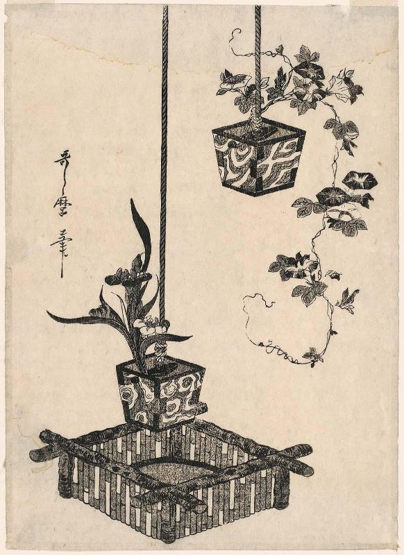 Hanging Flower Arrangements with Morning Glories and Iris