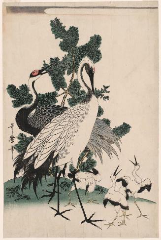 Cranes and Pine Tree