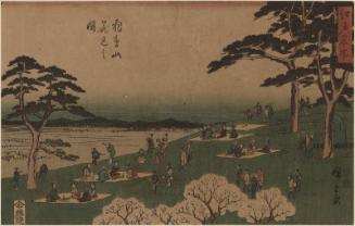 Cherry-blossom Viewing at Asuka Hill (Asukayama hanami no zu), from the series Famous Places in Edo (Edo meisho)