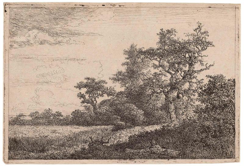 The Wheat Field