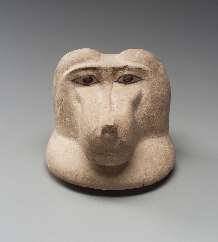 Lid of a canopic jar