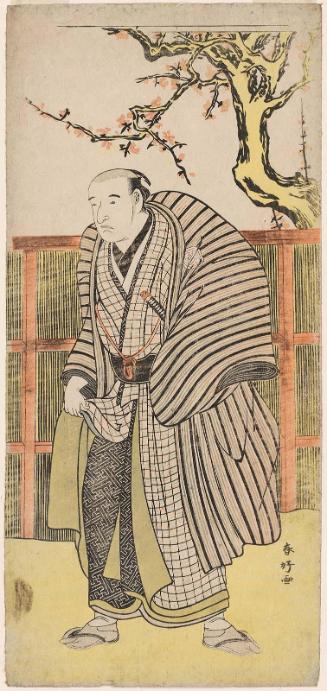 Actor Arashi Otohachi II (or Arashi Tojurô ?)