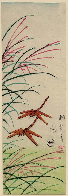 Dragonflies and Pampas Grass