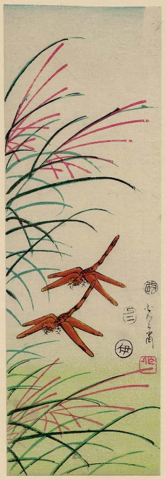 Dragonflies and Pampas Grass