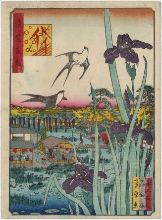 Irises at Urae (Urae kakitsubata), from the series One Hundred Views of Osaka (Naniwa hyakkei)