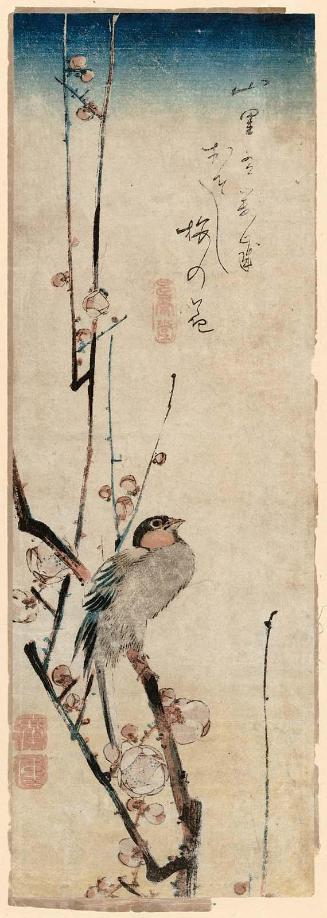 Red-cheeked Bird and Red Plum Blossoms
