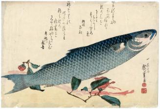 Mullet, Asparagus, and Camellia, from an untitled series known as Large Fish