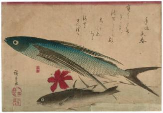 Flying Fish, Ishimochi, and Lily, from an untitled series known as Large Fish (supplemental group)