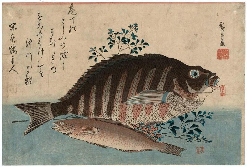 Striped Sea Bream, Rock-trout, and Nandina, from an untitled series known as Large Fish (supplemental group)