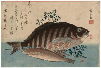 Striped Sea Bream, Rock-trout, and Nandina, from an untitled series known as Large Fish (supplemental group)