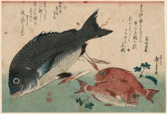 Black Sea Bream, Small Sea Bream, Asparagus Shoots, and Sansho Pepper, from an untitled series known as Large Fish