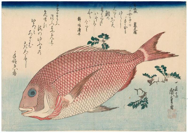 Sea Bream and Sansho Pepper, from an untitled series known as Large Fish