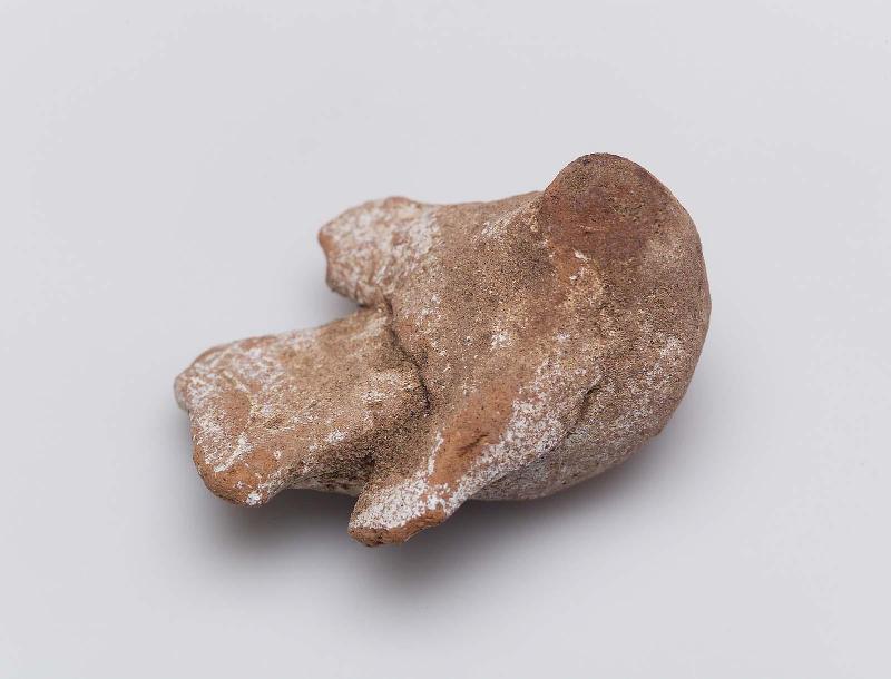 Model of a bird