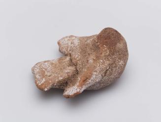 Model of a bird