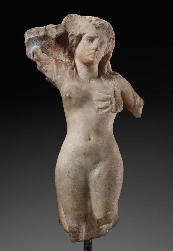 Weeping Siren
