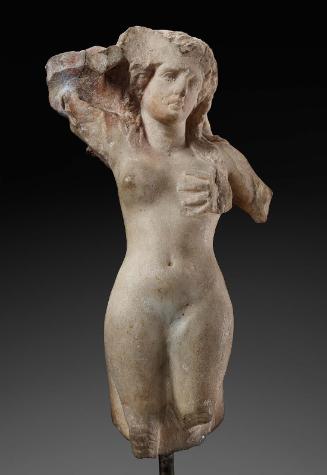Weeping Siren
