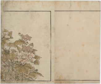 Autumn Flowers: Bellflowers and Peony, from the book Seirô bijin awase sugata kagami (Mirror of Beautiful Women of the Green Houses), vol. 2, picture 1, sheet 1