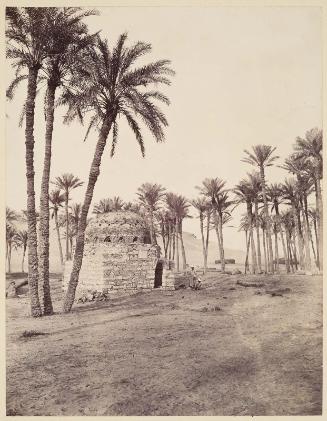 Tomb of a sheik near Saqqara