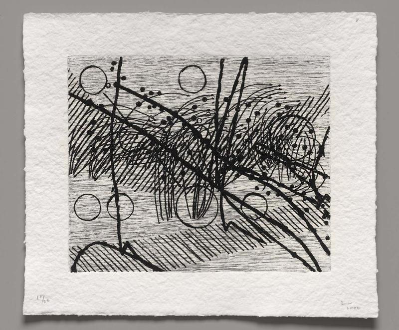 Shadowgraphs, Plate 8