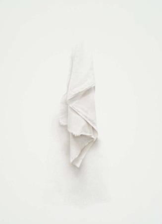 Fringed Drapery