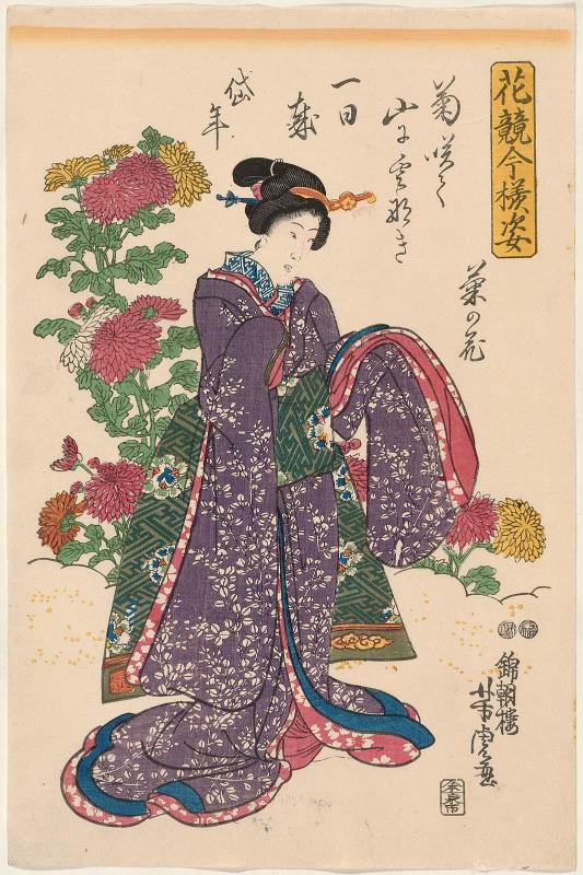 Chrysanthemums (Kiku no hana), from the series Modern Figures in a Contest of Flowers (Hana kurabe imayô sugata)