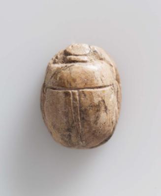 Scarab