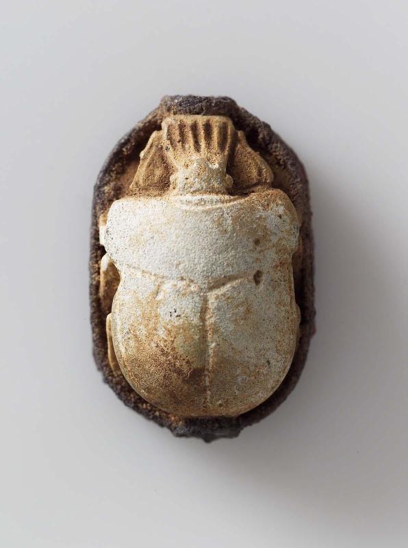 Scarab