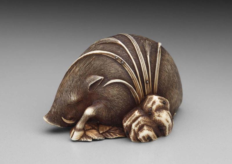 Boar Sleeping on Autumn Plants