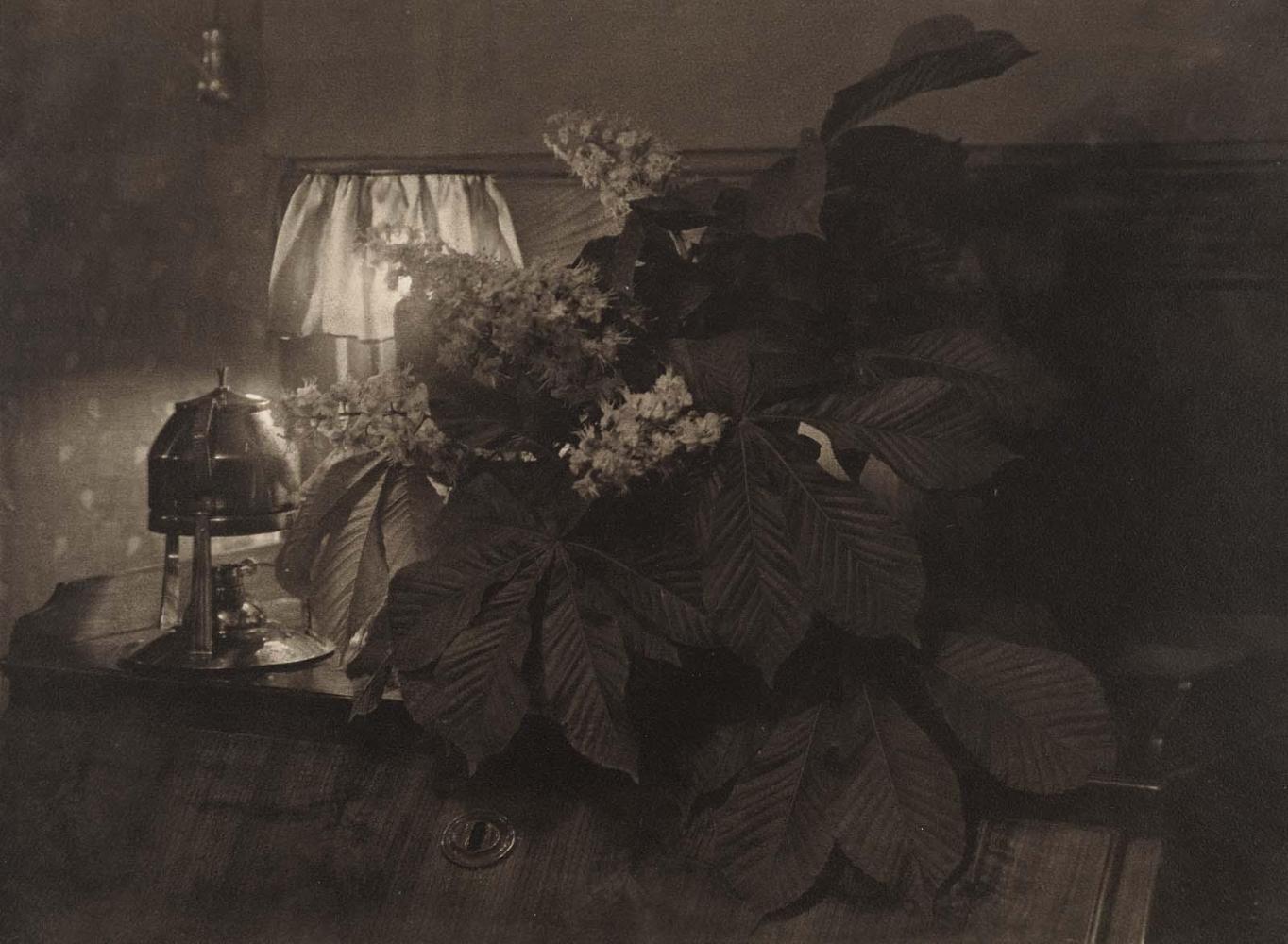 Untitled (Still Life: Interior with Horse Chestnuts, Lamp, and Tea Kettle)