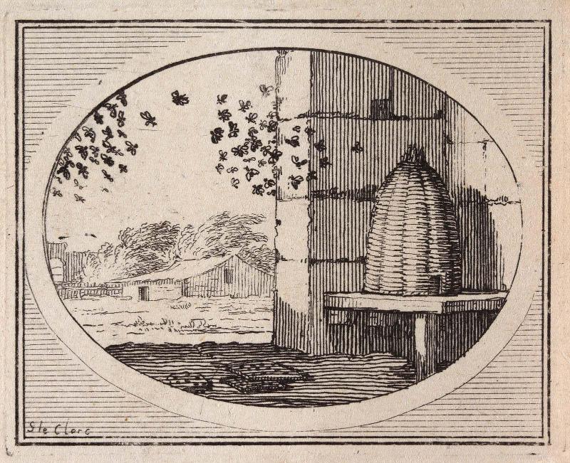 The Bees and the Hive (Aesop's Fables)