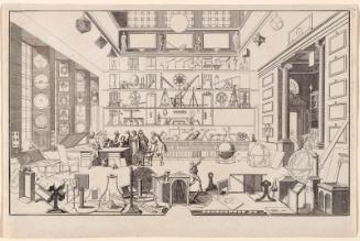 The Artist's Collections Cabinet