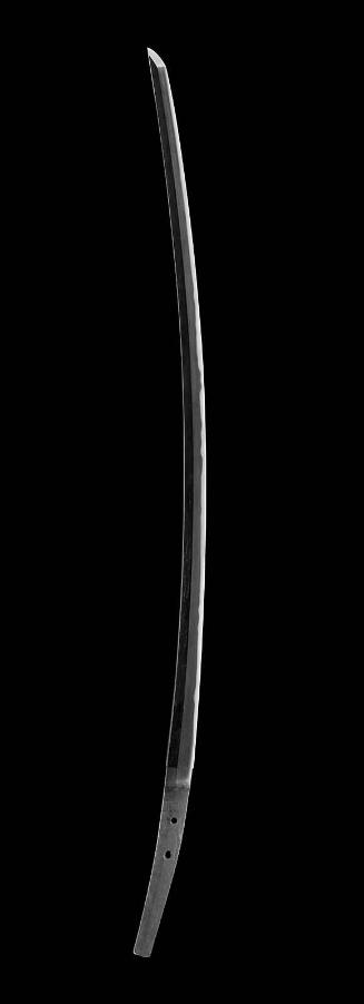 Sword of the tachi type