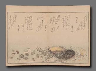 Shiohi no tsuto (Gifts from the Ebb Tide)