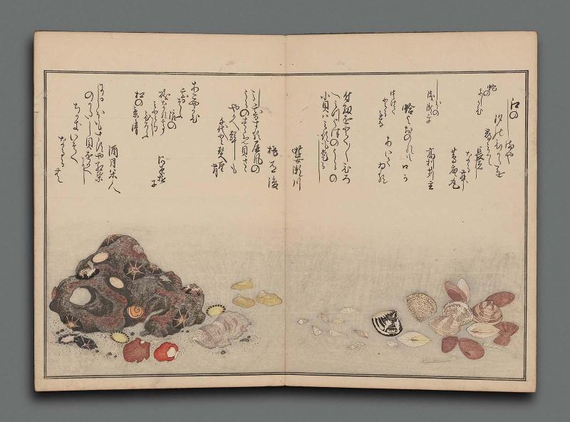 Shiohi no tsuto (Gifts from the Ebb Tide)