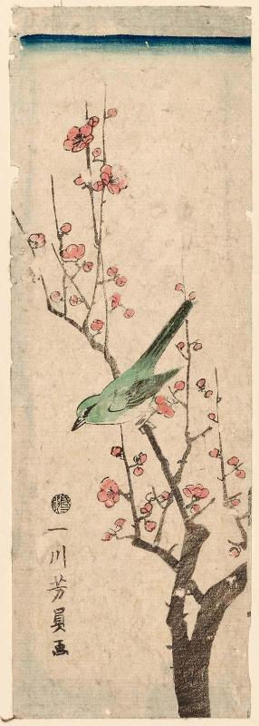 Warbler on Plum Branch