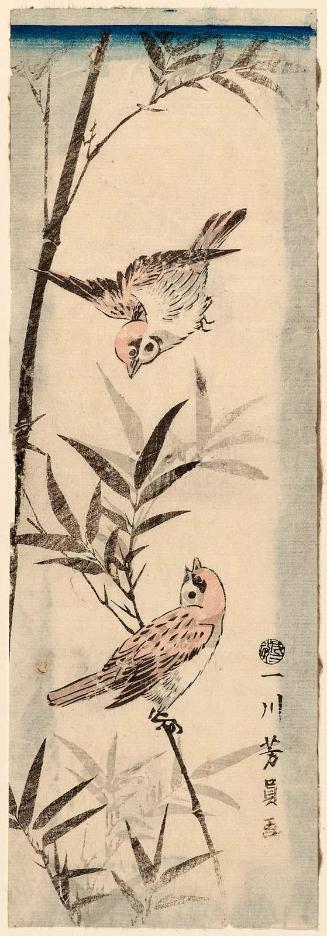 Sparrows and Bamboo