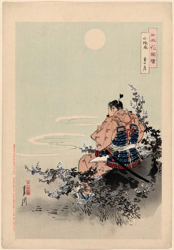 Cherry-blossom Armor Lacing: the Hero's Moon (Kozakura odoshi, yûshizuki), from the series Flowers of Japan, Illustrated (Nihon hana zue)