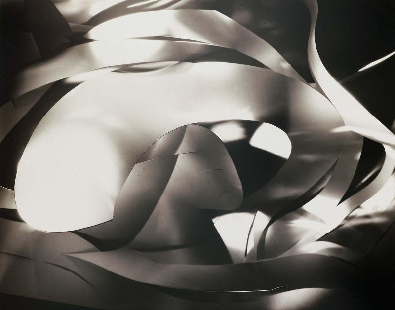 Still-life: Cut-paper Abstraction