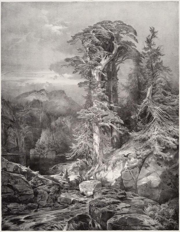 Solitude