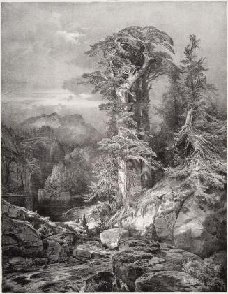 Solitude