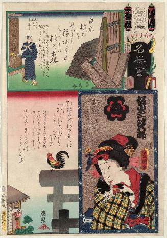 Ha Brigade, First Group, Suginomori: Actor Bandô Mitsugorô VI as Shirokiya Okoma, from the series Flowers of Edo and Views of Famous Places (Edo no hana meishô-e)