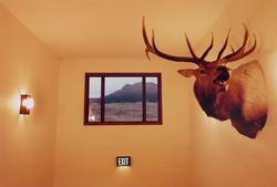 Best Western Mammoth Hot Springs, Gardiner, Montana