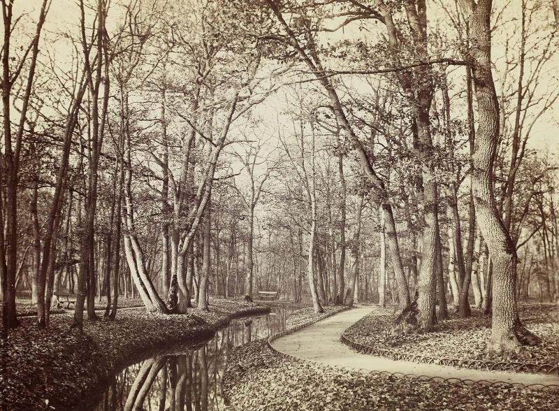 Path in the Bois de Boulogne