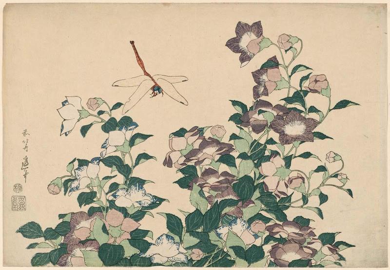 Bellflower and Dragonfly, from an untitled series known as Large Flowers