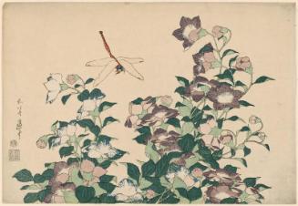 Bellflower and Dragonfly, from an untitled series known as Large Flowers